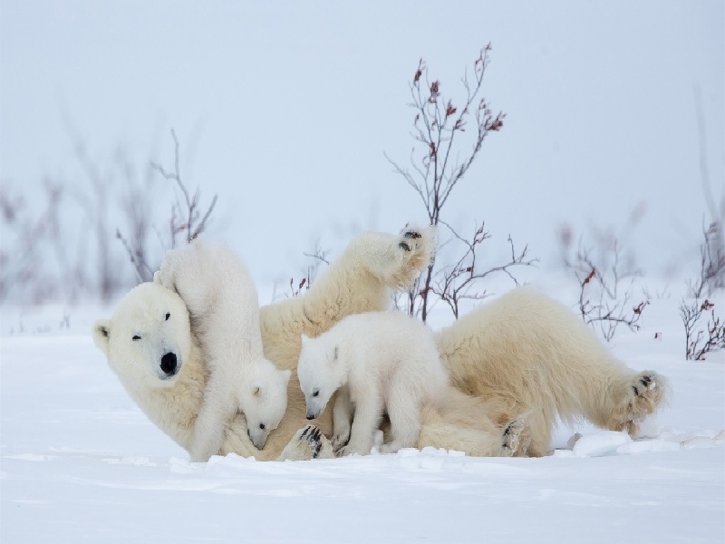 合肥哪里能做试管(试管试剂怎么用)